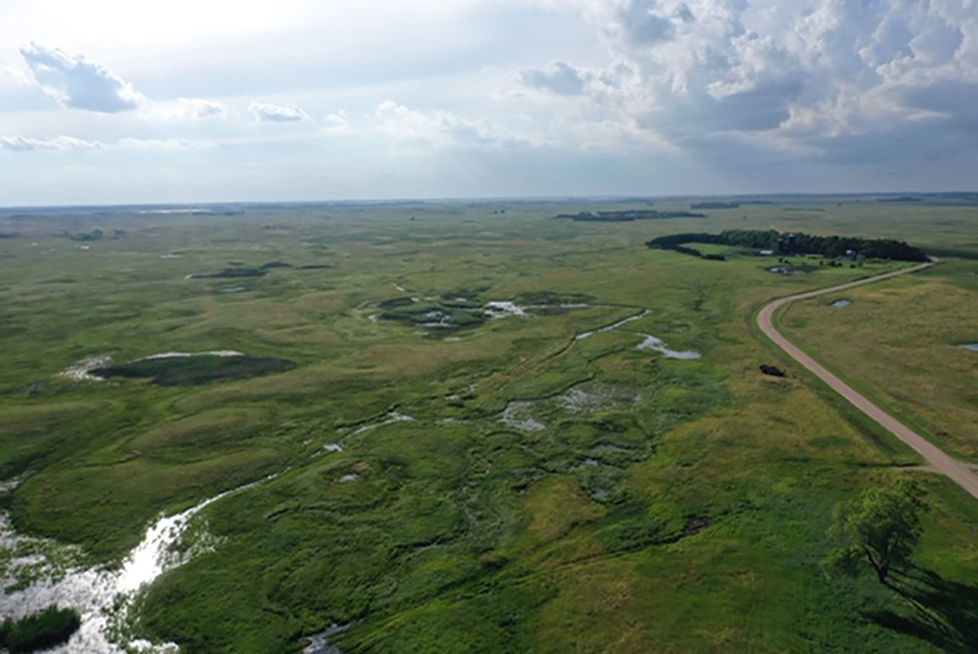 Sandhills R-Project